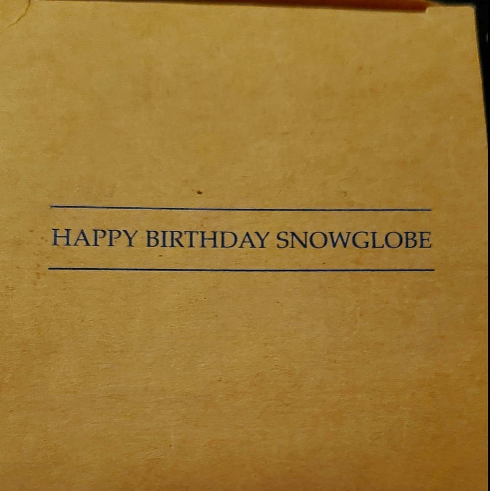 Birthday Snow globe❄